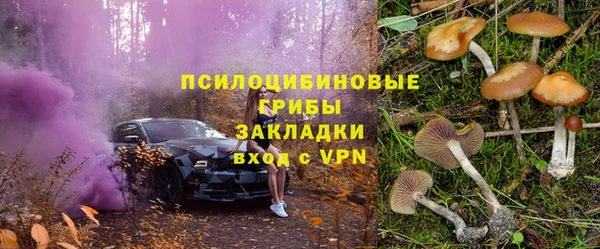 дживик Иннополис