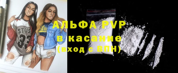 apvp Инта