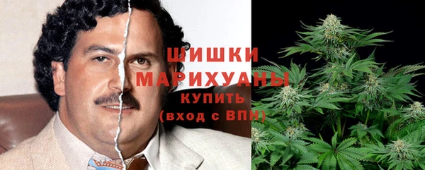 дживик Иннополис