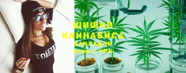 apvp Инта