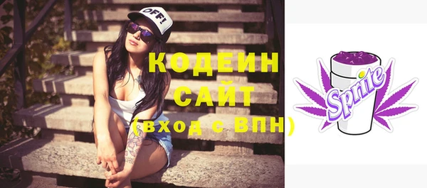 дживик Иннополис