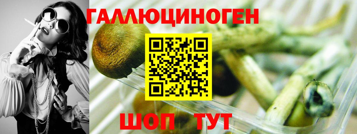 Псилоцибиновые грибы Magic Shrooms Кашира